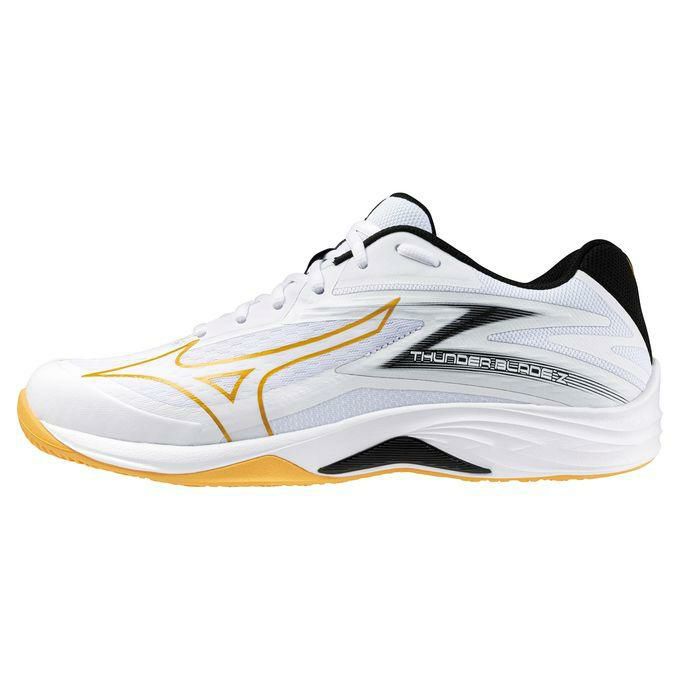 ミズノ MIZUNO メンズ レディース バレーボール シューズ